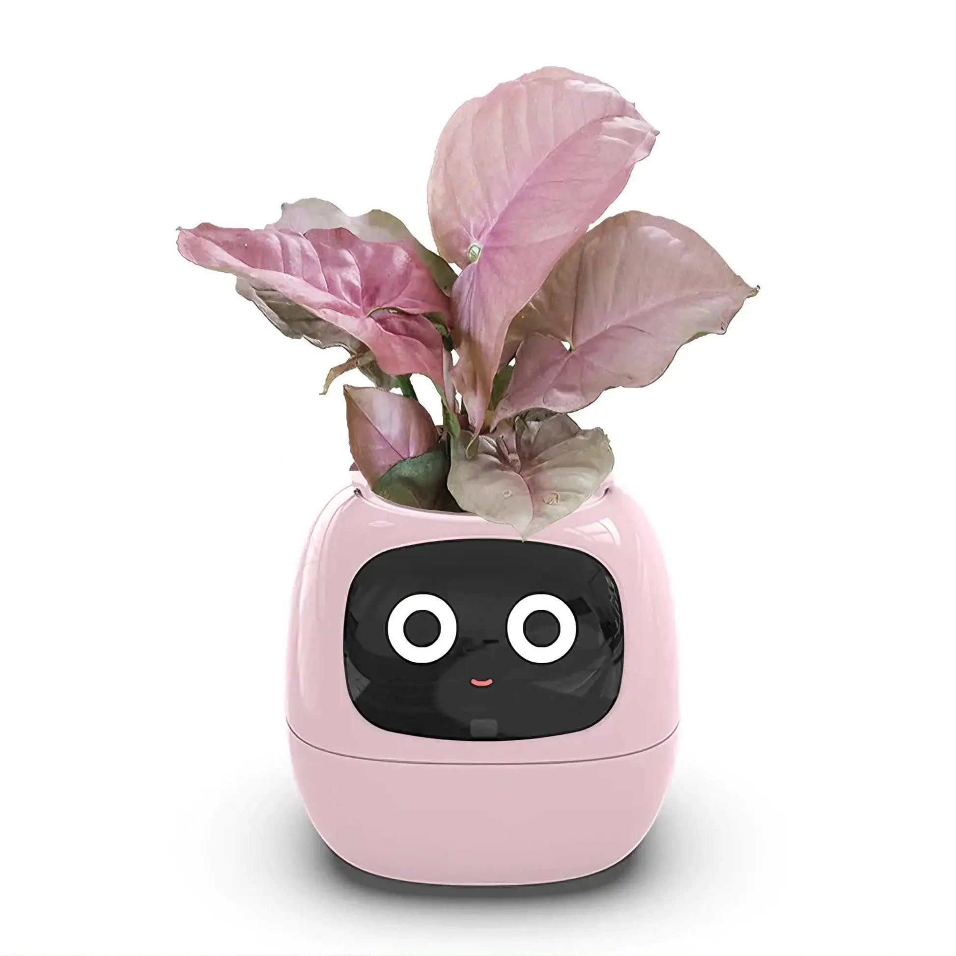 Mndstore™ Smart Flower Pot MNDStore